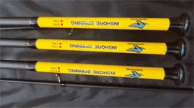 חכה לגרגורInshore spinning